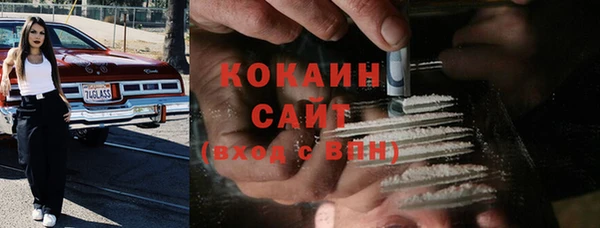 трава Вязьма