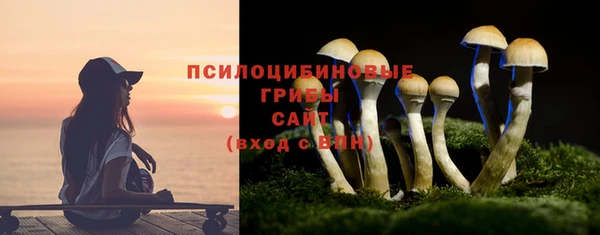 трава Вязьма