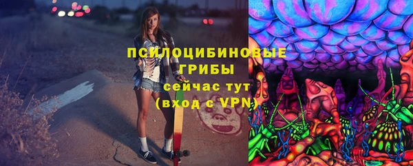 трава Вязьма