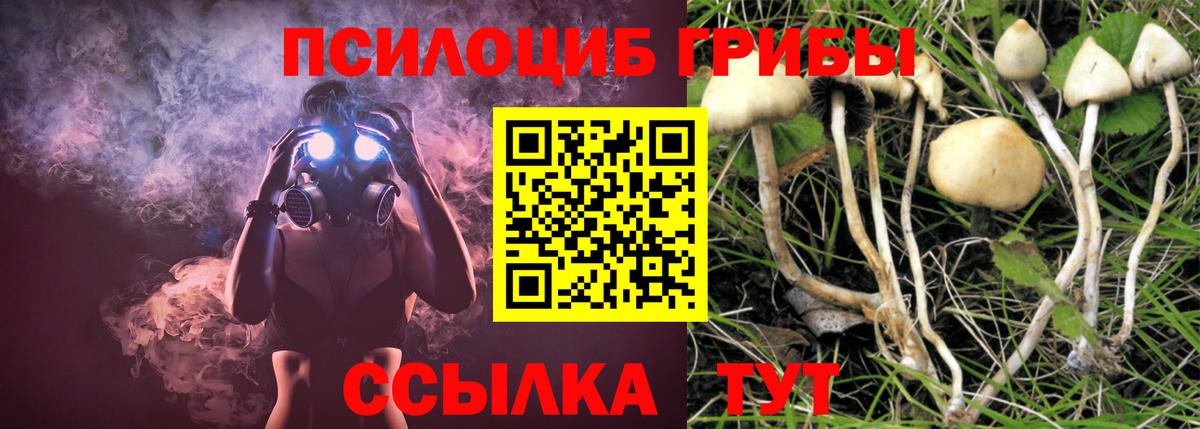 Заинск  Галлюциногенные грибы GOLDEN TEACHER  Вход с VPN  Галлюциногенные грибы мицелий 